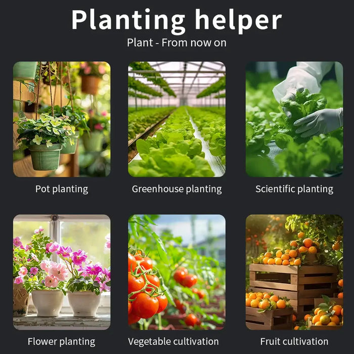 Bepflanzungsmethoden im Schaufenster.