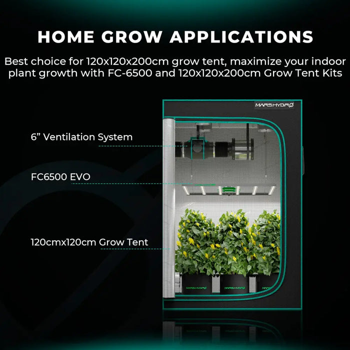 Einrichtung eines Indoor-Grow-Zeltes.