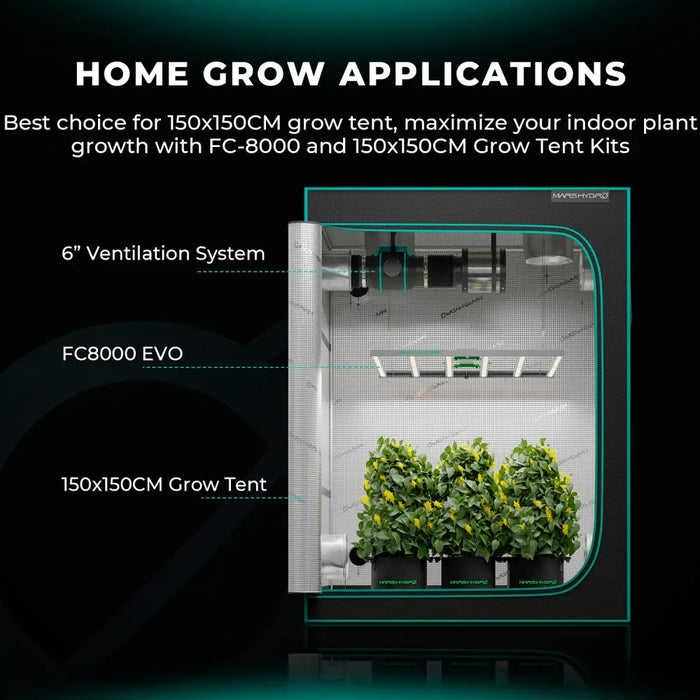 Indoor-Growzelt mit Belüftung und Beleuchtung.
