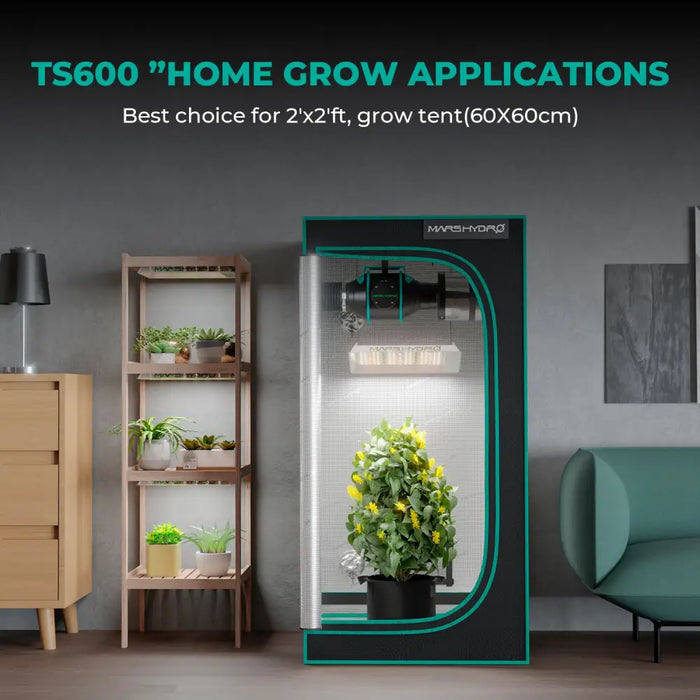 Indoor-Grow-Zelt mit Pflanze.