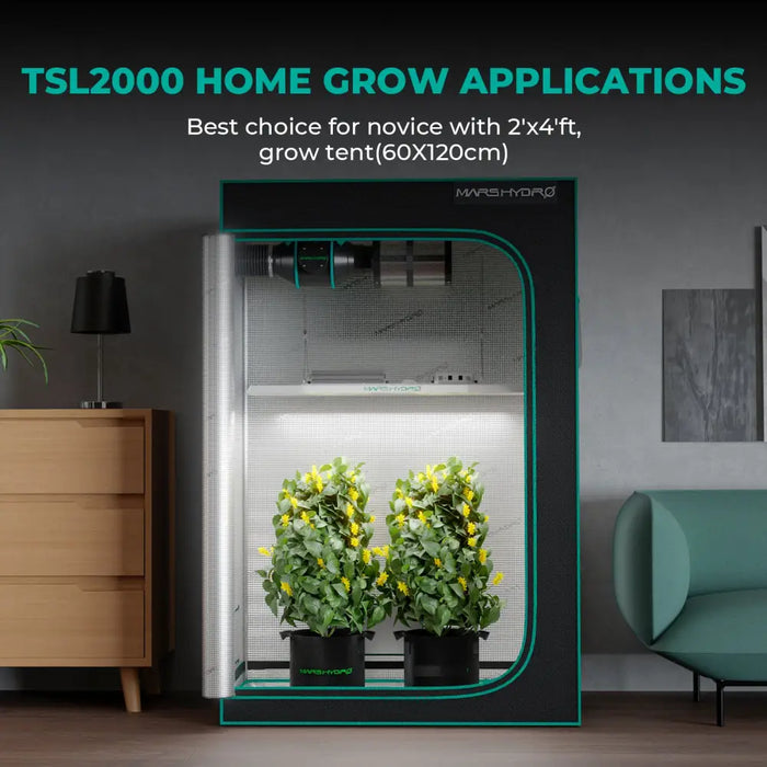 Indoor-Grow-Zelt mit Pflanzen.