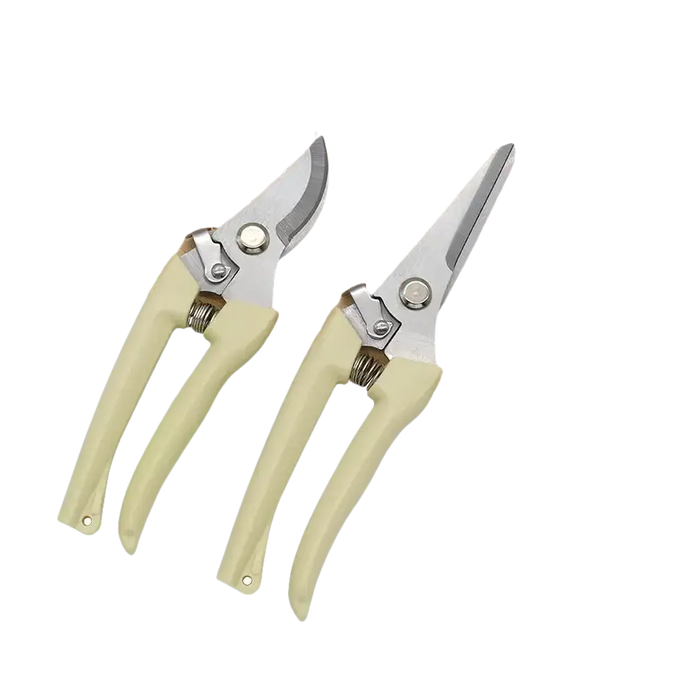 Zwei Baumscheren mit beigen Griffen.