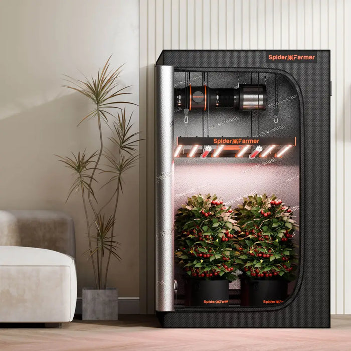 Indoor-Grow-Zelt mit Pflanzen.