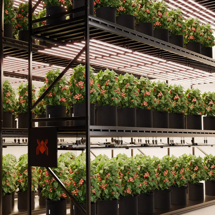 Vertikale Indoor-Farm.