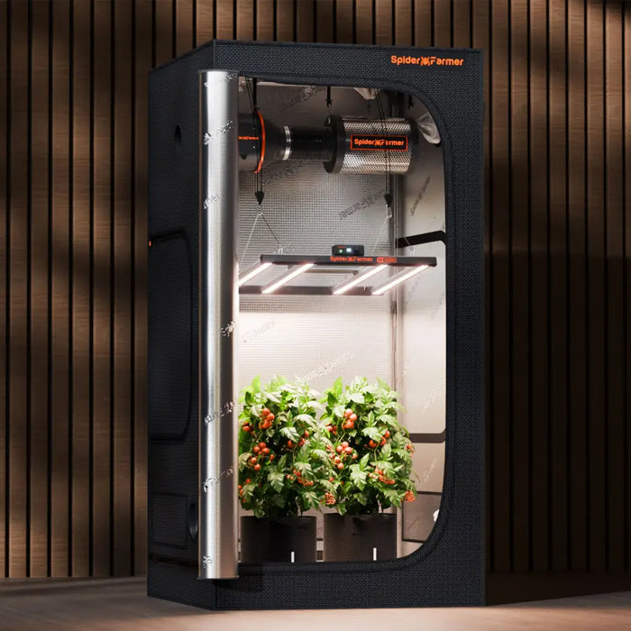 Indoor-Grow-Zelt mit Pflanzen.