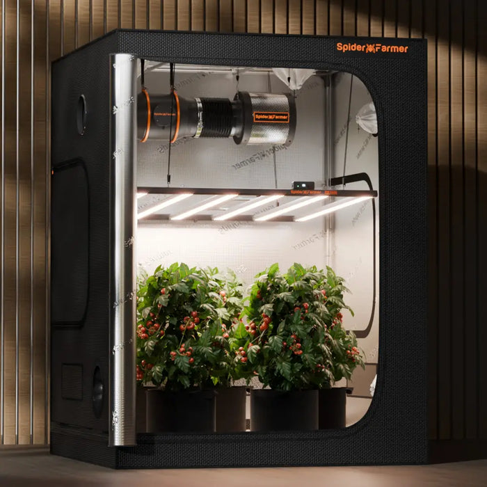 Indoor-Grow-Zelt mit Pflanzen.