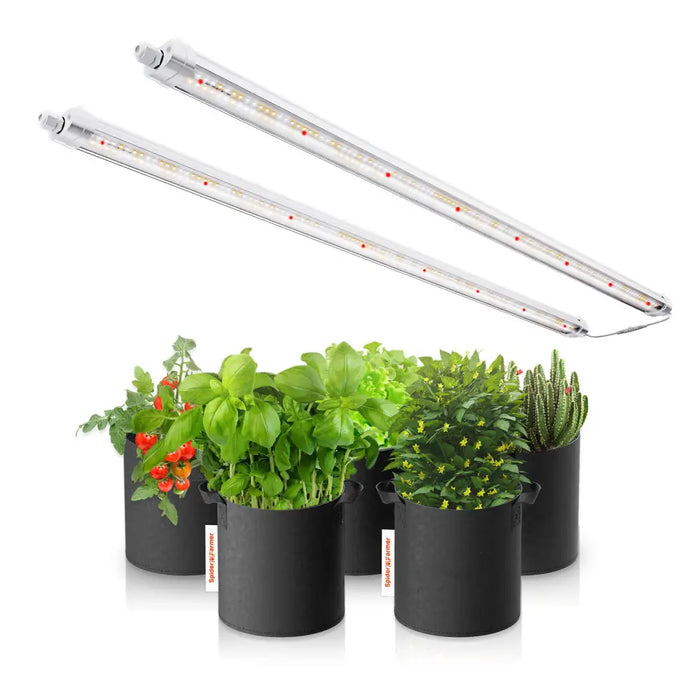 Indoor-Gardening-Setup mit Grow-Lampen.