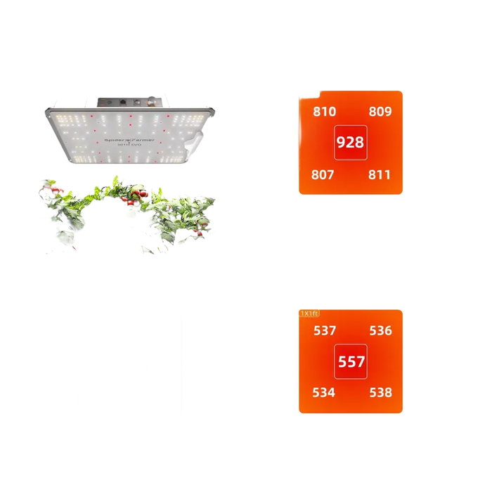 PPFD-Karten für eine SF1000 EVO-Zuchtlampe.