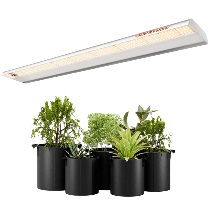 Licht zum Wachsen von Zimmerpflanzen.