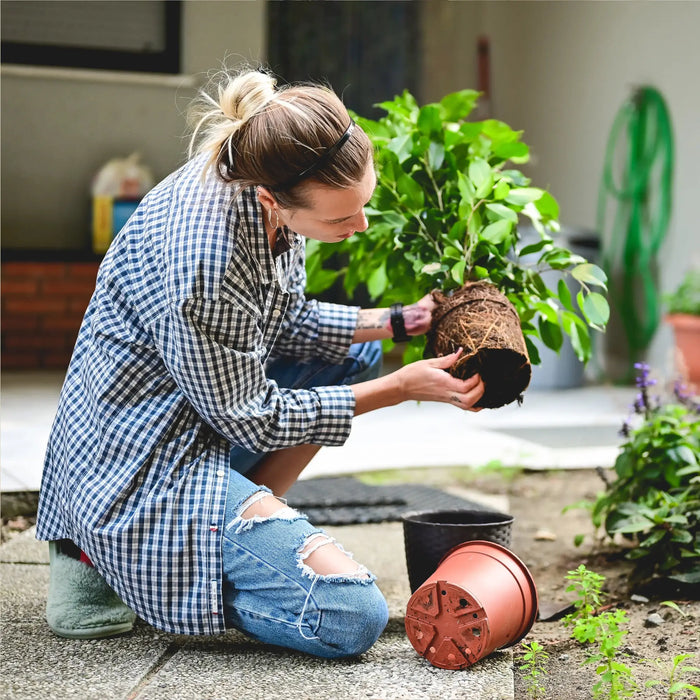 Die-Kunst-des-biologischen-Gartenbaus-Eine-nachhaltige-Grünfläche-kultivieren GrowIt24