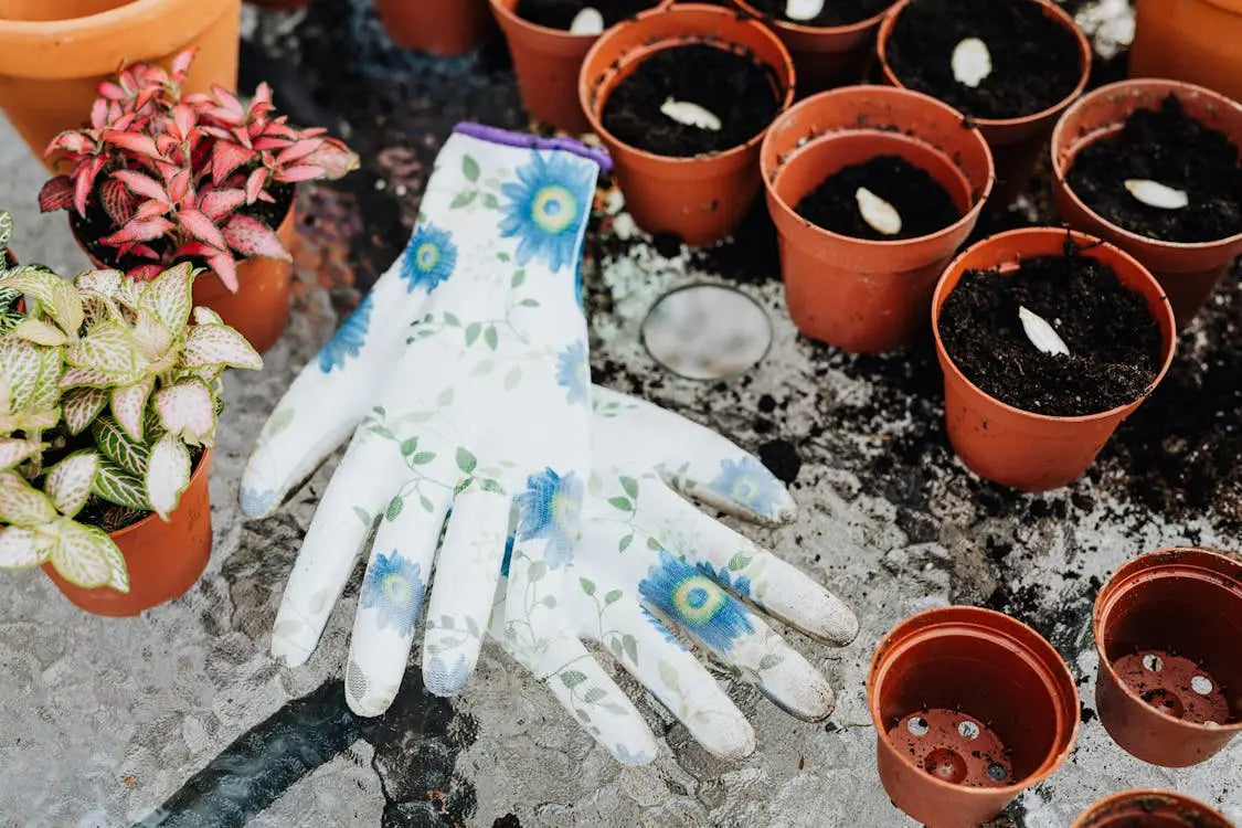 Indoor-Garten-leicht-gemacht-notwendige-Ausrüstung-für-gesunde-Pflanzen GrowIt24