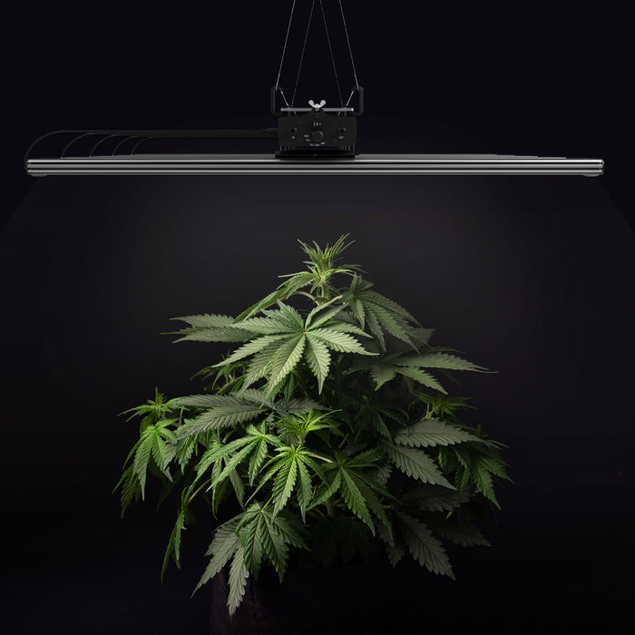 Greenception GCx-25 PWR 1000W LED-Pflanzenlampe – Maximale Leistung für Profis