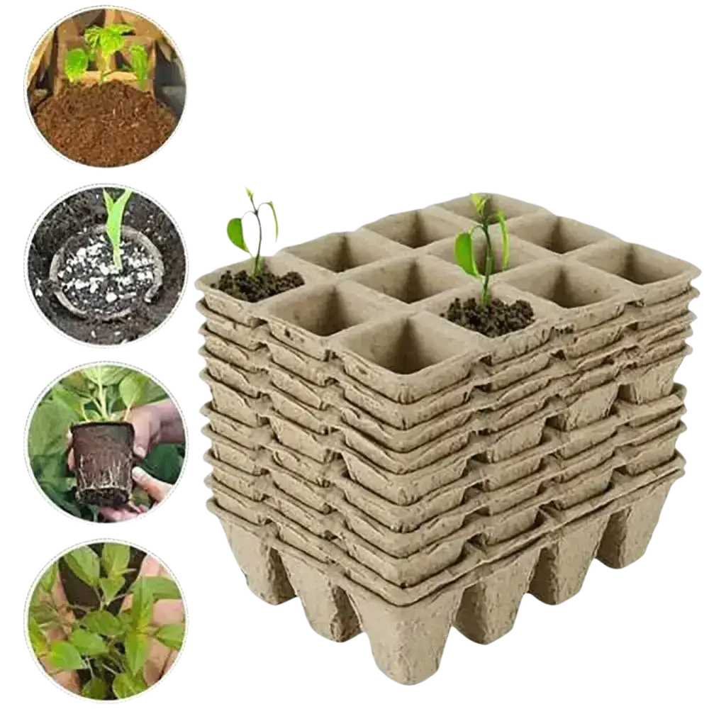 Biologisch abbaubare Anzuchtschalen von GrowIt24, ideal für umweltfreundliches Pflanzenwachstum