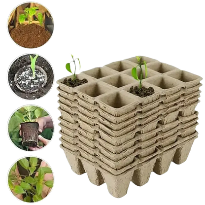 Biologisch abbaubare Anzuchtschalen von GrowIt24, ideal für umweltfreundliches Pflanzenwachstum