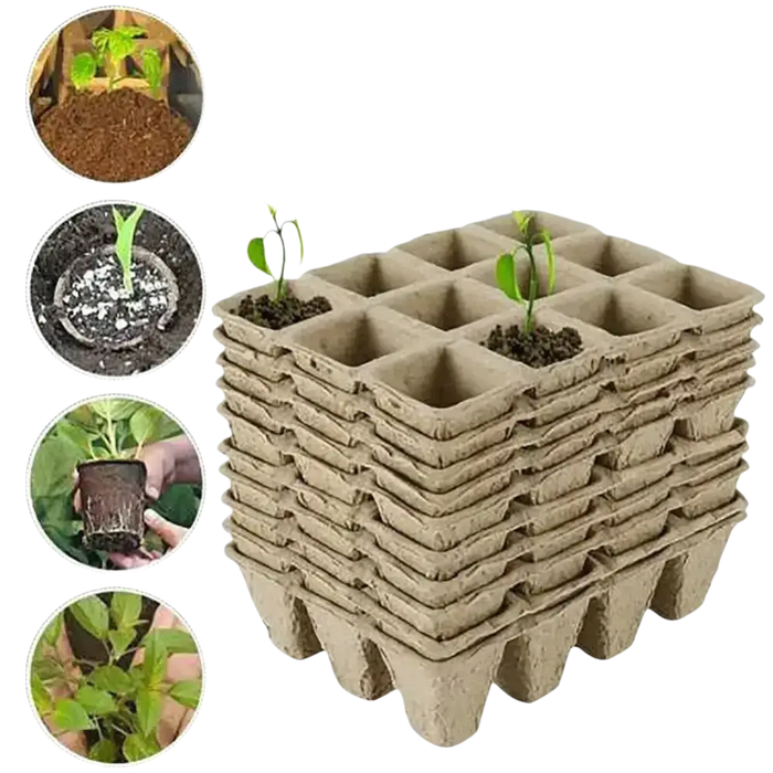 Biologisch abbaubare Anzuchtschalen von GrowIt24, ideal für umweltfreundliches Pflanzenwachstum
