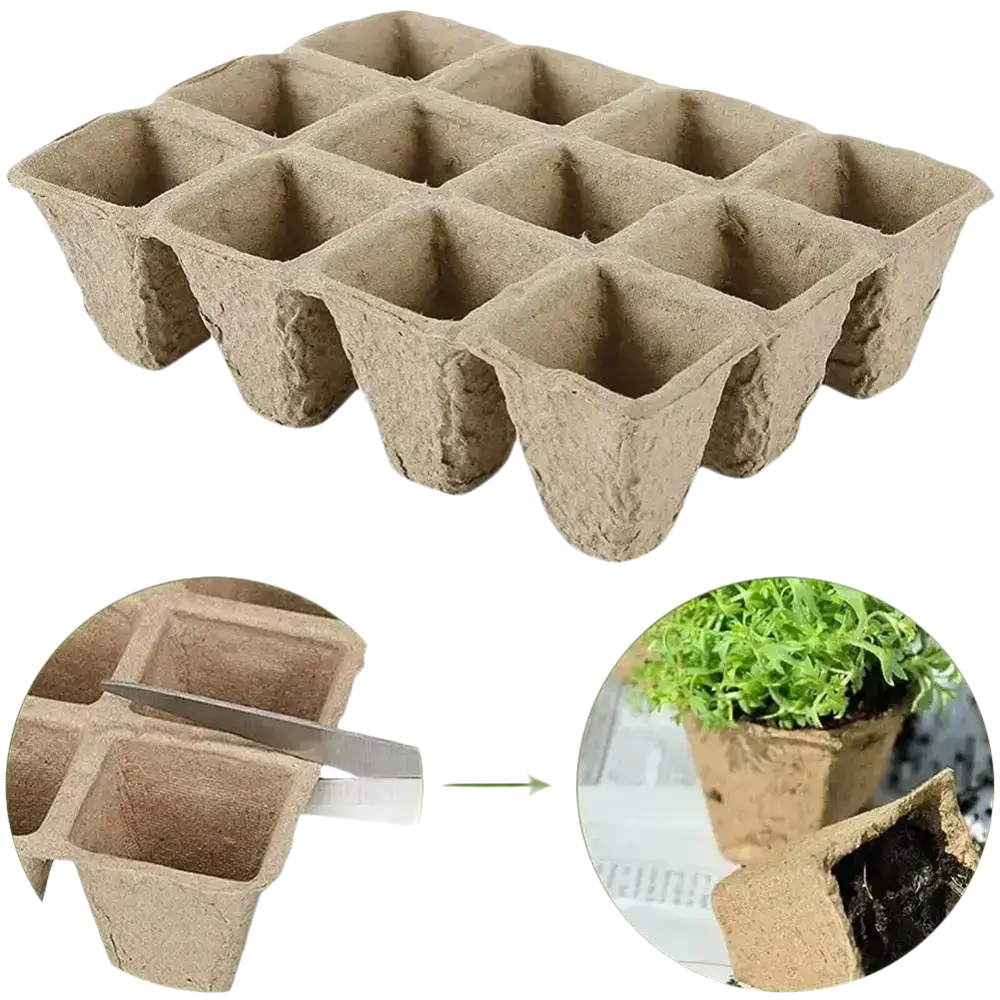Biologisch abbaubare Anzuchtschalen aus umweltfreundlichem Material für nachhaltigen Gartenbau