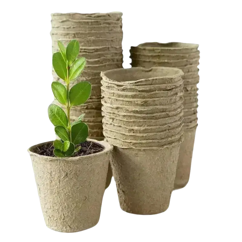Biologisch abbaubare Anzucht-Töpfe von GrowIt24 mit kleinen Pflanzen für umweltfreundliche Gartenarbeit