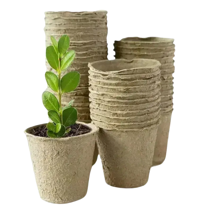 Biologisch abbaubare Anzucht-Töpfe von GrowIt24 mit kleinen Pflanzen für umweltfreundliche Gartenarbeit