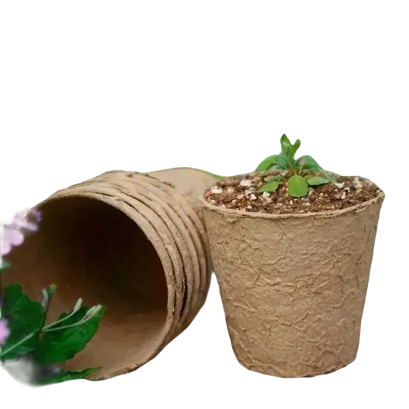 Biologische Anzucht mit biologisch abbaubaren Pflanzentöpfen von GrowIt24 für umweltfreundliches Gärtnern