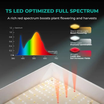 LED-Vollspektrum-Wachstumslicht mit optimierten Wellenlängen für das Pflanzenwachstum.