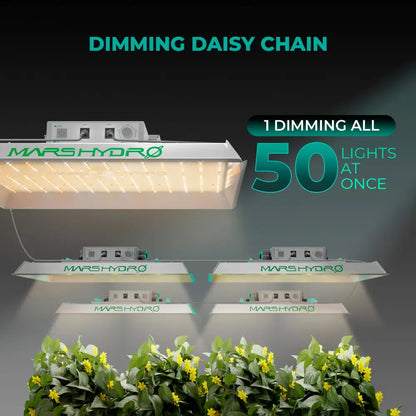 LED-Zuchtlampen mit Daisy-Chain-Dimmung.