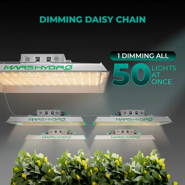 LED-Zuchtlampen mit Daisy-Chain-Dimmung.