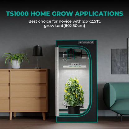 Indoor-Growzelt mit Belüftungssystem.