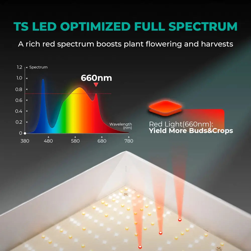 Analyse des Spektrums von LED-Wachstumslicht.