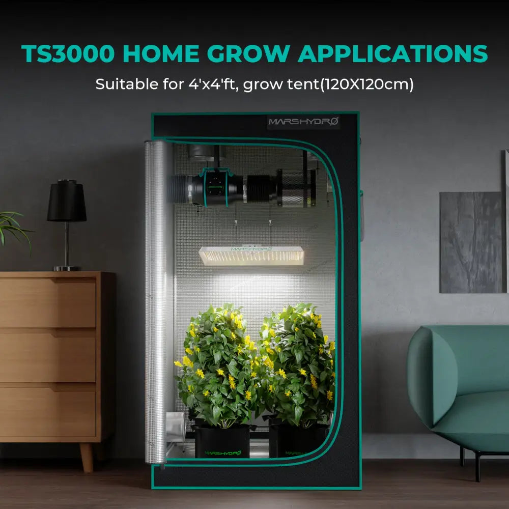 Indoor-Grow-Zelt mit Pflanzen.