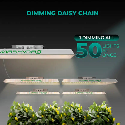 LED-Zuchtlampen mit Daisy-Chain-Dimmung.