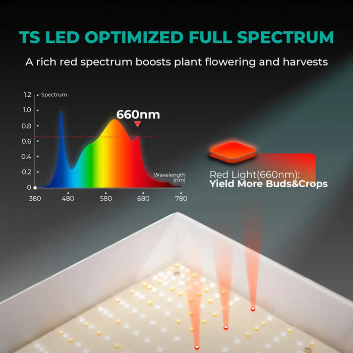 Analyse des Spektrums von LED-Wachstumslicht.