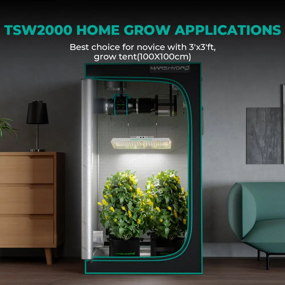 Indoor-Grow-Zelt mit Pflanzen.