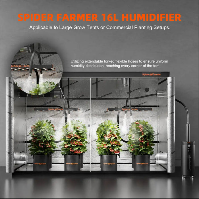Spider Farmer Luftbefeuchter in einem Anbauzelt.