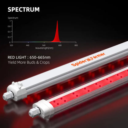 Rotes Licht Spektrum wachsen Lichter.