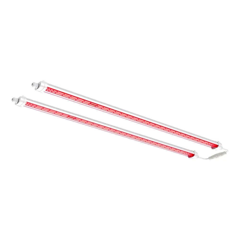 Zwei rote Lichtbalken.