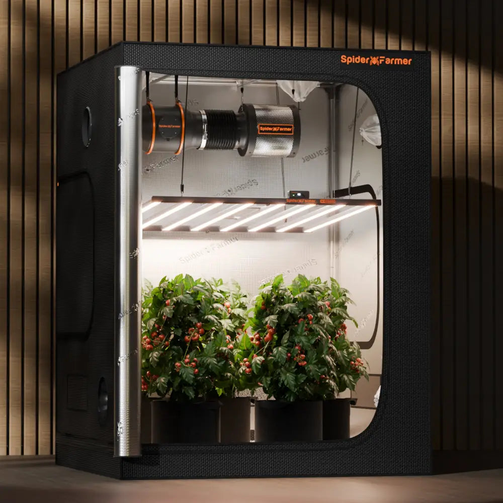 Indoor-Grow-Zelt mit Pflanzen.