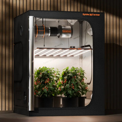 Indoor-Grow-Zelt mit Pflanzen.