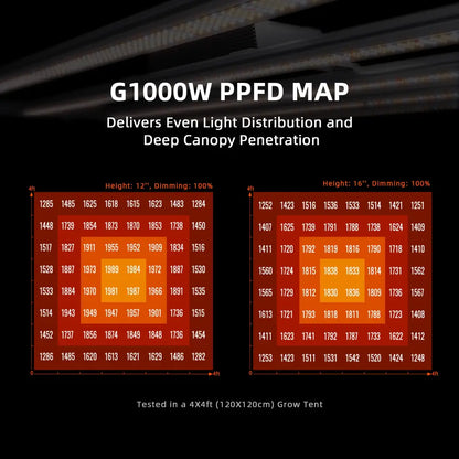 G1000W PPFD-Lichtverteilungskarten.
