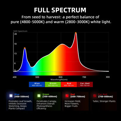 Vollspektrum-Lichtdiagramm für das Pflanzenwachstum.
