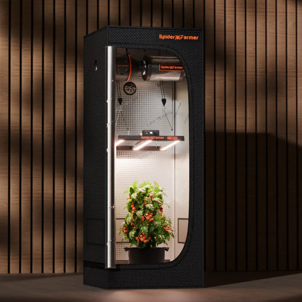Indoor-Grow-Zelt mit Pflanze.