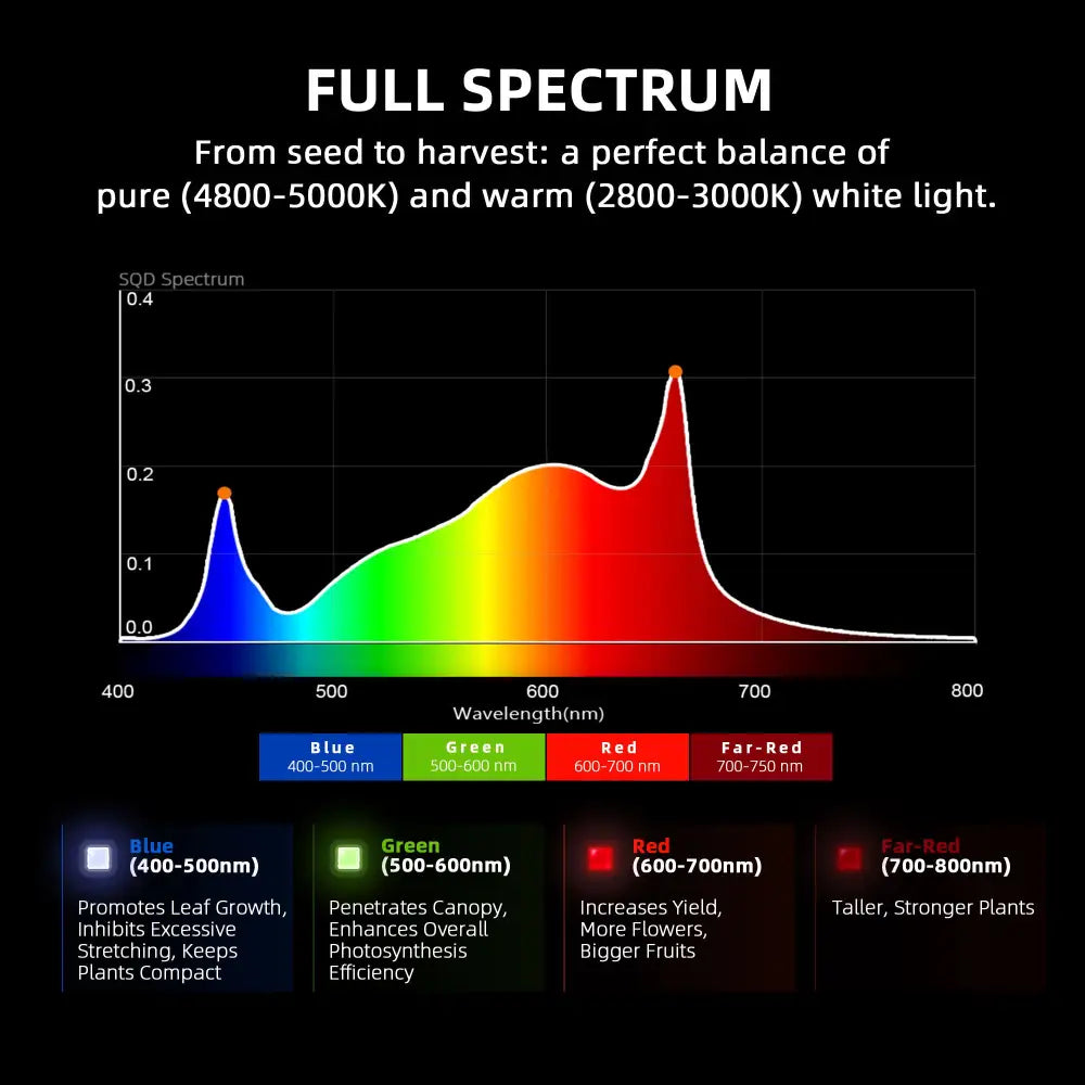 Vollspektrum-Lichtdiagramm für das Pflanzenwachstum.