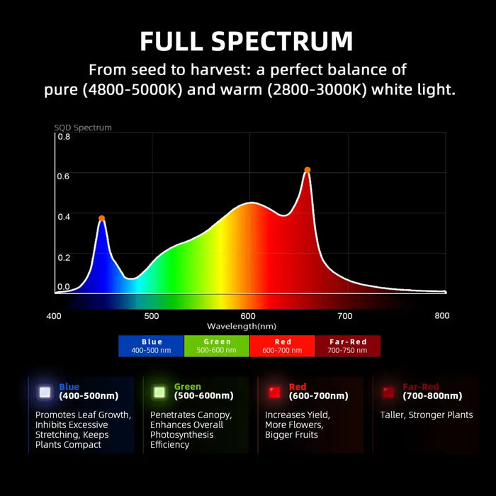 Vollspektrum-Lichtdiagramm für das Pflanzenwachstum.