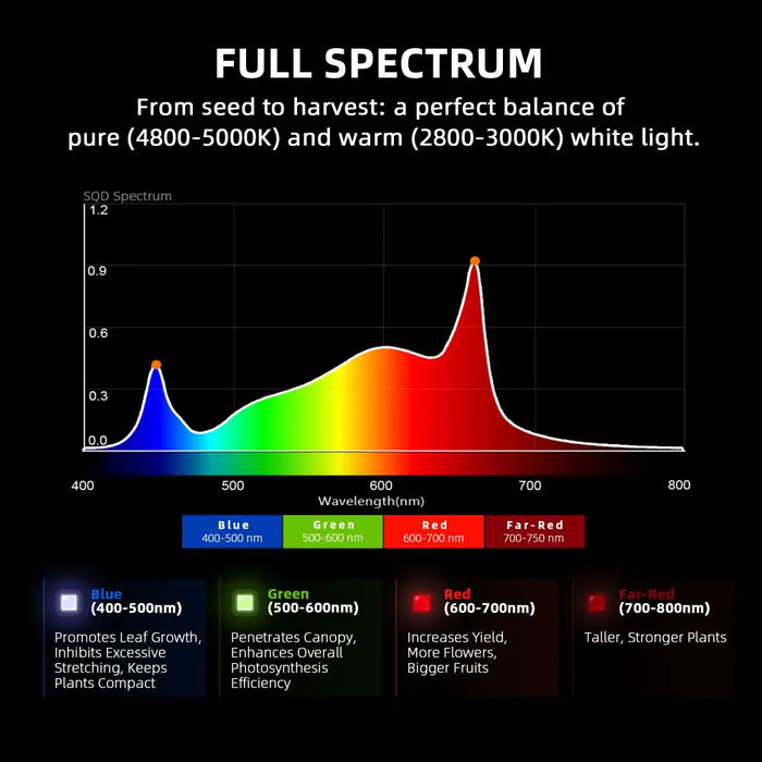 Vollspektrum-Lichtdiagramm für das Pflanzenwachstum.