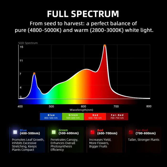 Vollspektrum-Lichtdiagramm für das Pflanzenwachstum.