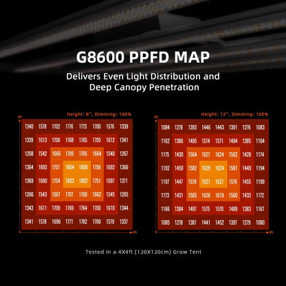 G8600 PPFD-Karte, die die Lichtverteilung und die Durchdringung des Kronendachs zeigt.