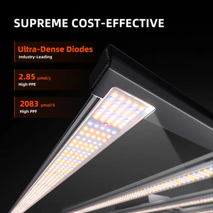 LED-Wachstumslicht mit hohem PPE und PPF.
