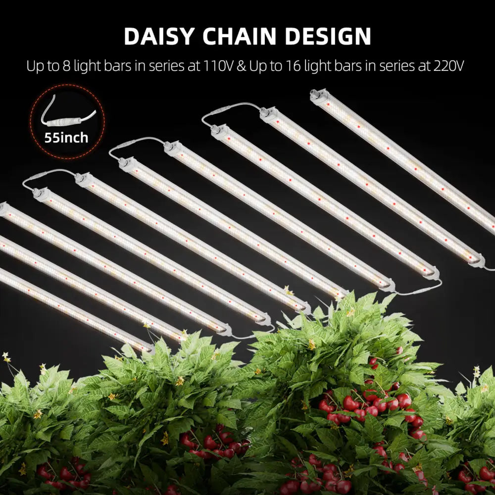 Daisy-Chain-Wachstumsleuchten.
