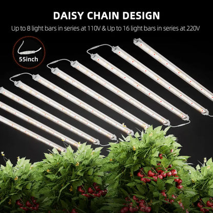 Daisy-Chain-Wachstumsleuchten.