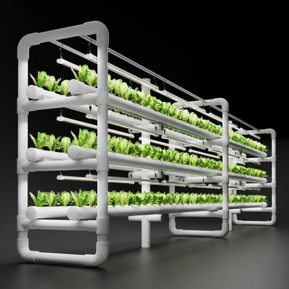 Hydroponisches System für den Salatanbau.