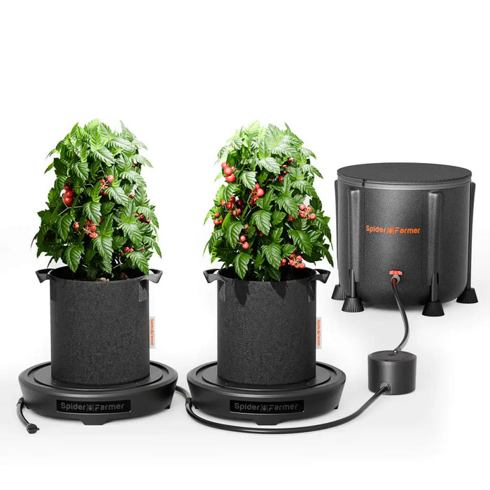 Automatisiertes hydroponisches Tomatenanbausystem.
